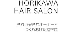 HORIKAWA HAIRSALON